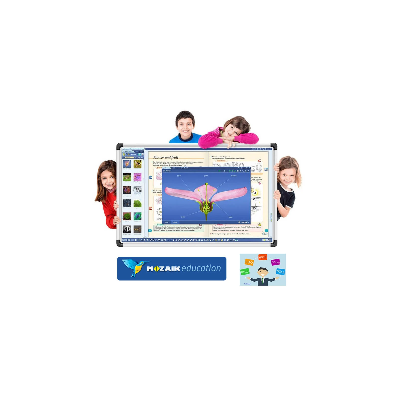 Software Mozabook MULTILANG , lectii interactive in timp real, licenta 1 / 3 ani