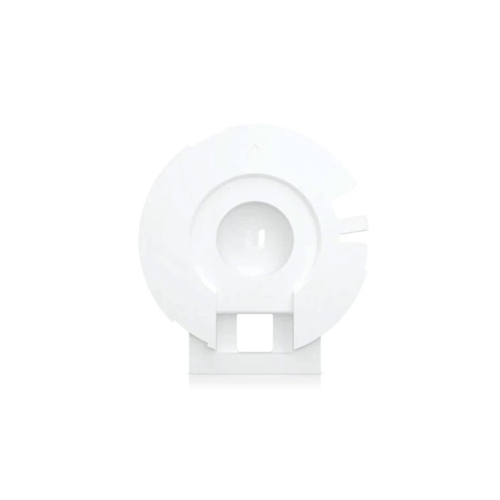 Arm Mount for Pro AP