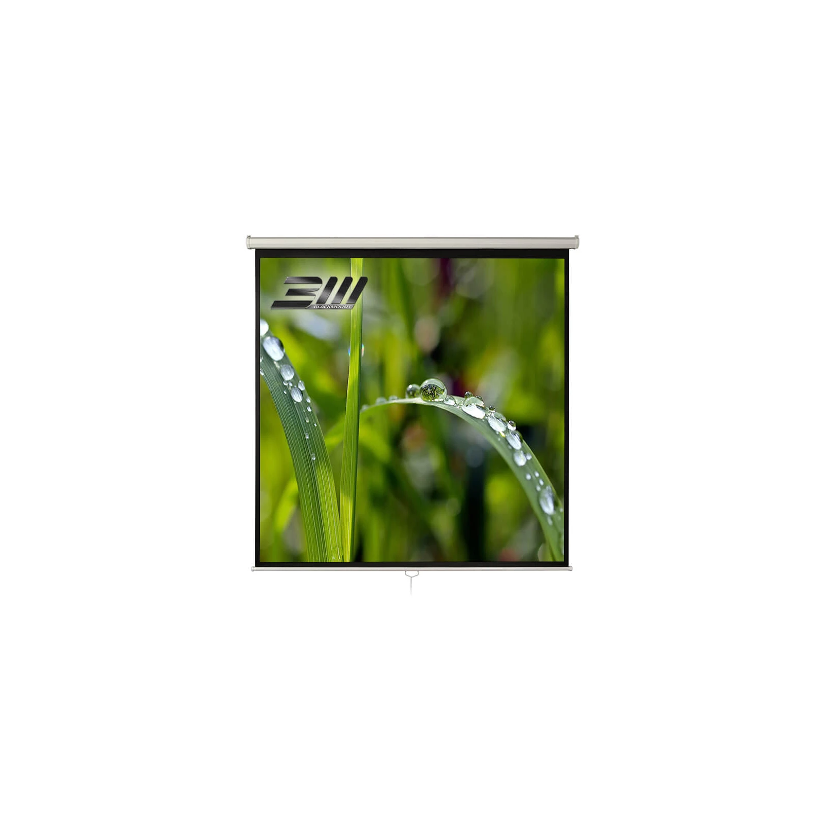 Ecran proiectie manual, perete/tavan, 300 x 300 cm, Blackmount, Format 1:1