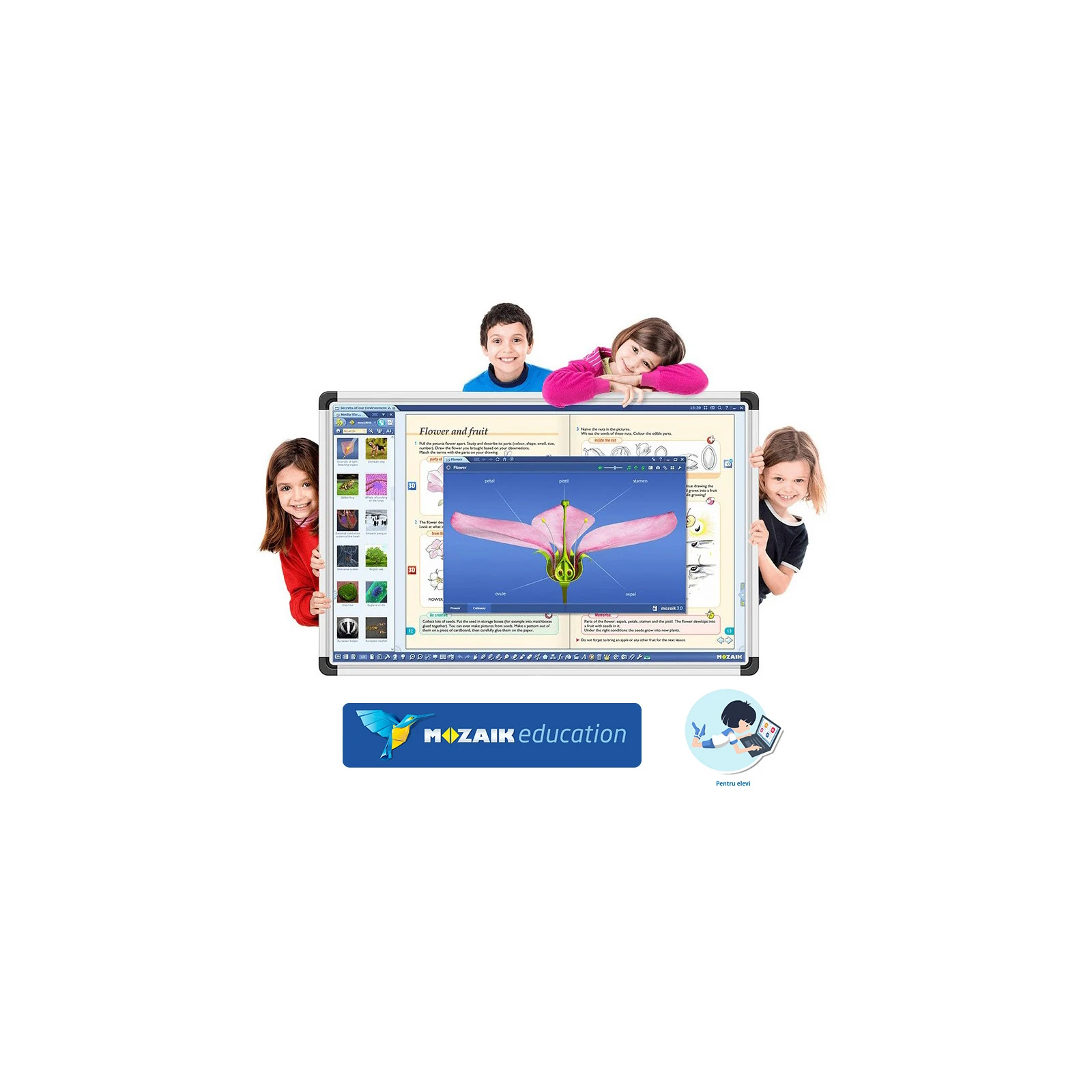 Software Mozaik Student , lectii interactive in timp real, licenta 1 / 3 ani