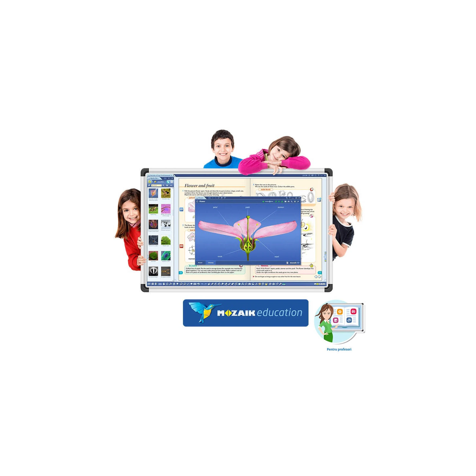 Software Mozaik Teacher MULTILANG , lectii interactive in timp real, licenta 1 / 1 an