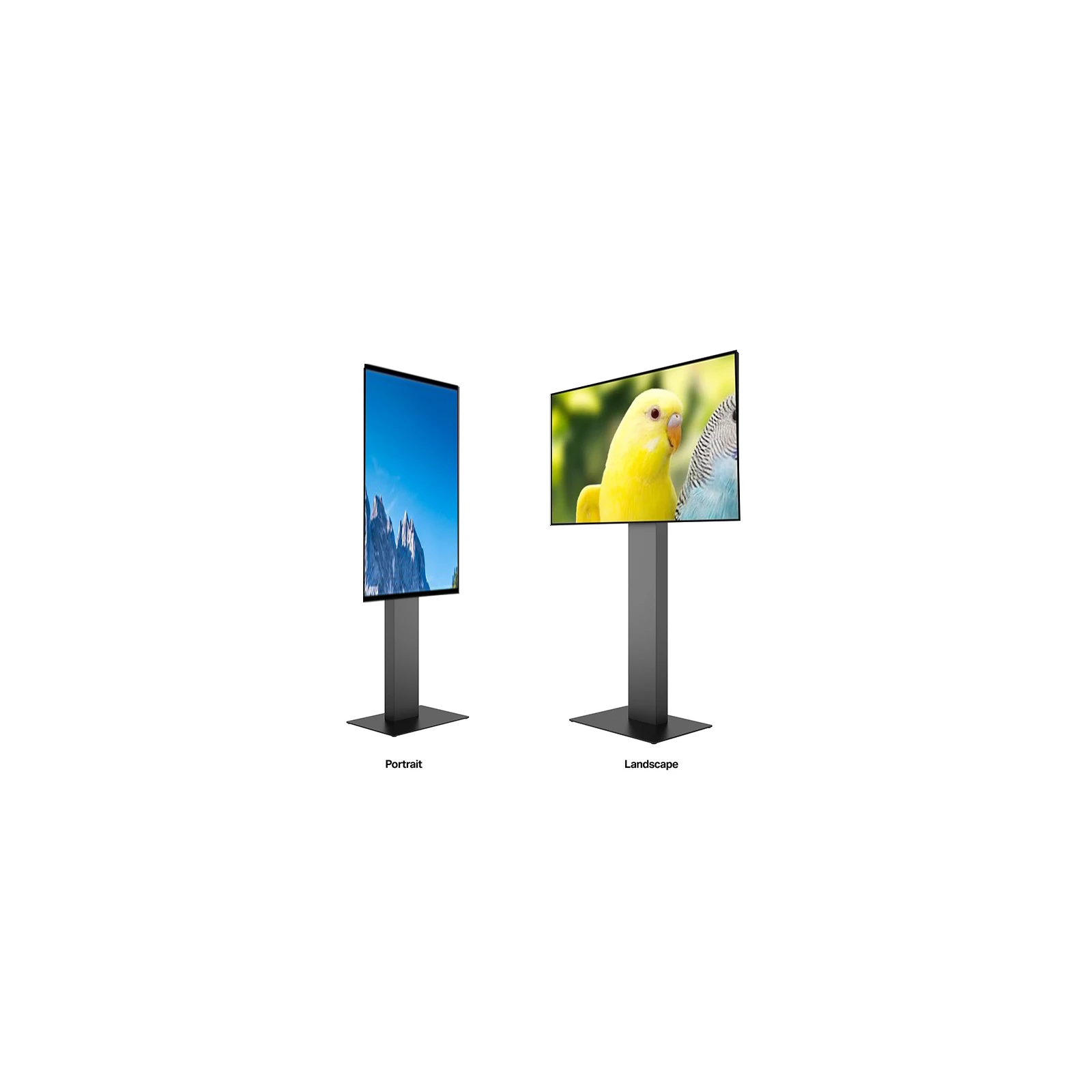 Kiosk / Totem Indoor Touch 43'' Android11 - Display touch IR 43",4K, JG-03-IR43 +  Multibrackets MB-7357