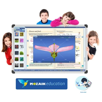 Software Mozaik Student , lectii interactive in timp real, licenta 1 / 4 ani