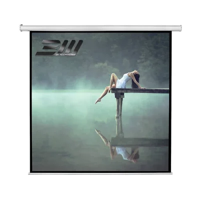 Ecran proiectie electric, perete/tavan, 240 x 240 cm, Blackmount, cu telecomanda, Format 1:1