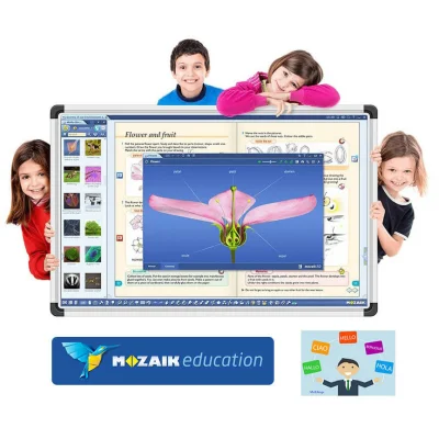 Software Mozabook MULTILANG , lectii interactive in timp real, licenta 1 / 1 an