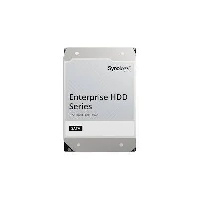 Syn HDD 20TB 3.5 Ent SATA HAT5310-20T